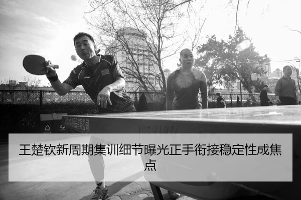 王楚钦新周期集训细节曝光正手衔接稳定性成焦点