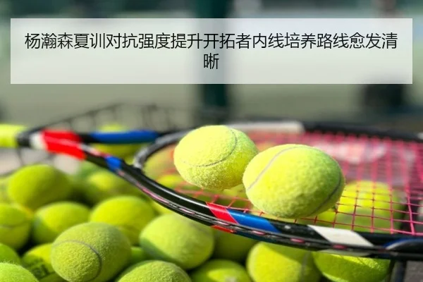 杨瀚森夏训对抗强度提升开拓者内线培养路线愈发清晰